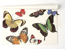 Load image into Gallery viewer, Butterfly Placemats
